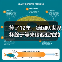 等了12年,德国队世界杯终于等来穆西亚拉的第一届(图3) 等了12年,德国队世界杯终于等来穆西亚拉的第一届(图3)