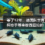 等了12年,德国队世界杯终于等来穆西亚拉的第一届(图2) 等了12年,德国队世界杯终于等来穆西亚拉的第一届(图2)