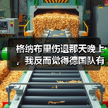 格纳布里伤退那天晚上,我反而觉得德国队有戏了(图1) 格纳布里伤退那天晚上,我反而觉得德国队有戏了(图1)