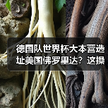 德国队世界杯大本营选址美国佛罗里达？这操作我一开始也没看懂（图1）