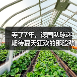 等了7年,德国队球迷期待夏天狂欢的那股劲儿又回来了(图4) 等了7年,德国队球迷期待夏天狂欢的那股劲儿又回来了(图4)