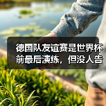 德国队友谊赛是世界杯前最后演练,但没人告诉我票这么难抢(图1) 德国队友谊赛是世界杯前最后演练,但没人告诉我票这么难抢(图1)