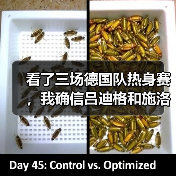 看了三场德国队热身赛,我确信吕迪格和施洛特贝克需要更多磨合(图1) 看了三场德国队热身赛,我确信吕迪格和施洛特贝克需要更多磨合(图1)