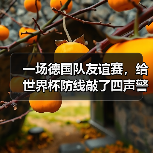 一场德国队友谊赛,给世界杯防线敲了四声警钟(图2) 一场德国队友谊赛,给世界杯防线敲了四声警钟(图2)