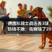 德国队瑞士战连丢3球防线不稳,我赌输了200块反而看明白一件事(图3) 德国队瑞士战连丢3球防线不稳,我赌输了200块反而看明白一件事(图3)
