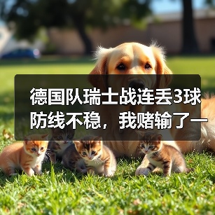 德国队瑞士战连丢3球防线不稳,我赌输了一顿火锅才看懂真相(图3) 德国队瑞士战连丢3球防线不稳,我赌输了一顿火锅才看懂真相(图3)