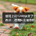 饭局上花1200块买了个教训:德国队友谊赛防守问题仍待解决(图4) 饭局上花1200块买了个教训:德国队友谊赛防守问题仍待解决(图4)