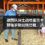 德国队瑞士战格雷茨卡替格罗斯加强拦截,这步棋赌对了还是赌错了?(图2) 德国队瑞士战格雷茨卡替格罗斯加强拦截,这步棋赌对了还是赌错了?(图2)