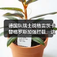 德国队瑞士战格雷茨卡替格罗斯加强拦截,这招到底灵不灵?(图4) 德国队瑞士战格雷茨卡替格罗斯加强拦截,这招到底灵不灵?(图4)