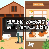 饭局上花1200块买了个教训：德国队瑞士战施蒂勒造点立功（图3）