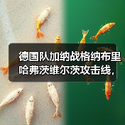 德国队加纳战格纳布里哈弗茨维尔茨攻击线，这三人到底能不能共存？（图4）