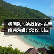 德国队加纳战格纳布里哈弗茨维尔茨攻击线，这三人到底能不能共存？（图2）