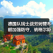 德国队瑞士战劳姆替布朗加强防守,纳格尔斯曼这步棋走对了吗?(图1) 德国队瑞士战劳姆替布朗加强防守,纳格尔斯曼这步棋走对了吗?(图1)