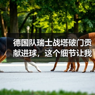 德国队瑞士战塔破门贡献进球,这个细节让我改变了看法(图1) 德国队瑞士战塔破门贡献进球,这个细节让我改变了看法(图1)
