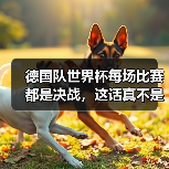 德国队世界杯每场比赛都是决战,这话真不是说着玩的(图3) 德国队世界杯每场比赛都是决战,这话真不是说着玩的(图3)