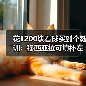 花1200块看球买到个教训:穆西亚拉可填补左路空缺(图4) 花1200块看球买到个教训:穆西亚拉可填补左路空缺(图4)
