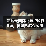 昂达夫国际比赛经验仅6场,德国队怎么敢用他?(图3) 昂达夫国际比赛经验仅6场,德国队怎么敢用他?(图3)