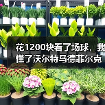 花1200块看了场球，我懂了沃尔特马德菲尔克鲁格未达顶级水准是什么意思（图1）