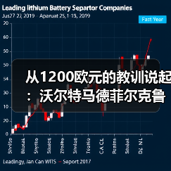 从1200欧元的教训说起:沃尔特马德菲尔克鲁格未达顶级水准的真相(图2) 从1200欧元的教训说起:沃尔特马德菲尔克鲁格未达顶级水准的真相(图2)