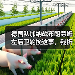 德国队加纳战布朗劳姆左后卫轮换这事,我折腾了三个晚上才搞明白(图1) 德国队加纳战布朗劳姆左后卫轮换这事,我折腾了三个晚上才搞明白(图1)