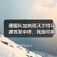 德国队加纳战沃尔特马德首发中锋，我跟你聊聊为啥这事挺有意思（图3）