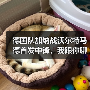 德国队加纳战沃尔特马德首发中锋，我跟你聊聊为啥这事挺有意思（图4）