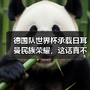 德国队世界杯承载日耳曼民族荣耀,这话真不是喊口号(图2) 德国队世界杯承载日耳曼民族荣耀,这话真不是喊口号(图2)
