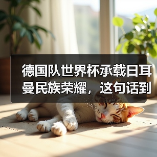 德国队世界杯承载日耳曼民族荣耀,这句话到底重不重?(图1) 德国队世界杯承载日耳曼民族荣耀,这句话到底重不重?(图1)