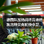 德国队加纳战塔吕迪格施洛特贝克轮换中卫,这次能行吗?(图2) 德国队加纳战塔吕迪格施洛特贝克轮换中卫,这次能行吗?(图2)