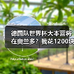 德国队世界杯大本营将在奥兰多?我花1200块买到的教训(图3) 德国队世界杯大本营将在奥兰多?我花1200块买到的教训(图3)