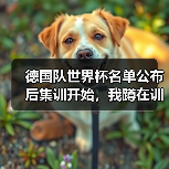德国队世界杯名单公布后集训开始,我蹲在训练基地外听到三个秘密(图1) 德国队世界杯名单公布后集训开始,我蹲在训练基地外听到三个秘密(图1)