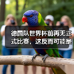 德国队世界杯前再无正式比赛,这反而可能是件好事?(图2) 德国队世界杯前再无正式比赛,这反而可能是件好事?(图2)