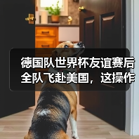 德国队世界杯友谊赛后全队飞赴美国,这操作我看不懂但大为震撼(图3) 德国队世界杯友谊赛后全队飞赴美国,这操作我看不懂但大为震撼(图3)