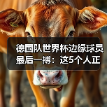 德国队世界杯边缘球员最后一搏:这5个人正在和时间赛跑(图2) 德国队世界杯边缘球员最后一搏:这5个人正在和时间赛跑(图2)