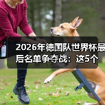 2026年德国队世界杯最后名单争夺战:这5个位置还没定(图2) 2026年德国队世界杯最后名单争夺战:这5个位置还没定(图2)