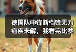 德国队中锋断档锋无力痼疾未解，我看完比赛气得砸了遥控器