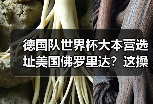 德国队世界杯大本营选址美国佛罗里达？这操作我一开始也没看懂