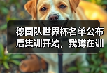 德国队世界杯名单公布后集训开始，我蹲在训练基地外听到三个秘密