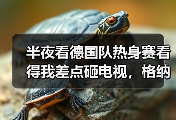 半夜看德国队热身赛看得我差点砸电视，格纳布里温达夫哈弗茨建功背后有玄机