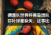 德国队世界杯需靠团队弥补球星缺失，这事比想象中难
