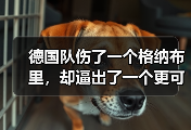 德国队伤了一个格纳布里，却逼出了一个更可怕的维尔茨