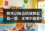 那天训练营的球探看了我一眼：米特尔施泰特斯图加特左后卫入选背后的真实故事