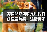 德国队欧国联是世界杯前重要练兵，这话真不是客套
