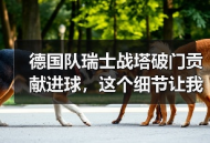 德国队瑞士战塔破门贡献进球，这个细节让我改变了看法