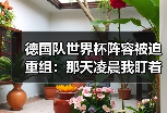 德国队世界杯阵容被迫重组：那天凌晨我盯着大名单发呆