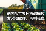 德国队世界杯首战库拉索必须取胜，否则我真要退网三天
