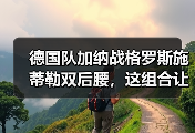 德国队加纳战格罗斯施蒂勒双后腰，这组合让我想起去年被虐的那场野球
