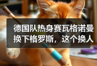 德国队热身赛瓦格诺曼换下格罗斯，这个换人我看懵了