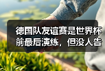 德国队友谊赛是世界杯前最后演练，但没人告诉我票这么难抢