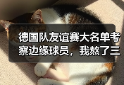 德国队友谊赛大名单考察边缘球员，我熬了三个晚上发现这些秘密